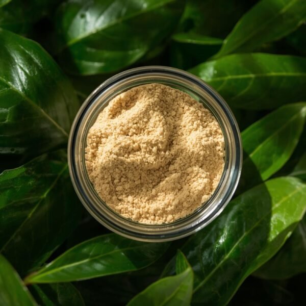 Guar Gum Powder